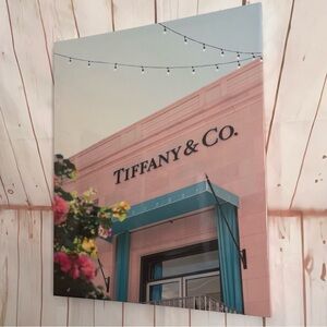 Luxury inspired. Pastel Pink and Blue Art Print